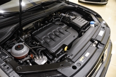 Volkswagen Tiguan usata Matera 47