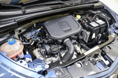 LANCIA Y 1.0 Hybrid 70CV Firefly GOLD 28