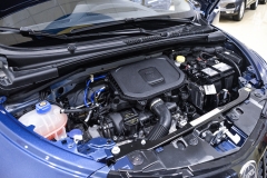 LANCIA Y Hybrid 70CV Firefly Oro 33