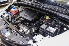 LANCIA Y 1,0 Hybrid 70CV Firefly Oro 30