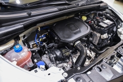 LANCIA Y 1,0 Hybrid 70CV Firefly Oro 32