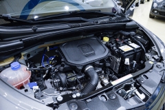 LANCIA Y Hybrid FIREFLY SILVER 31